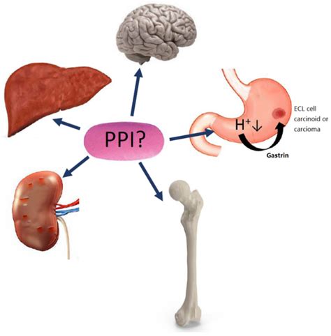 Adverse effects of proton.